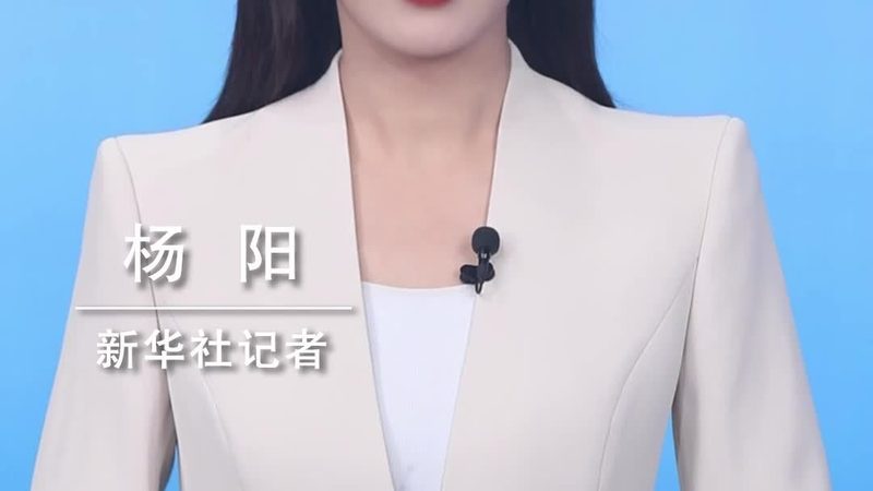 数据安全风险评估的关键流程与标准解读